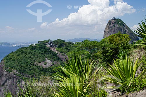  Assunto: Vista do Pão de Açúcar do Morro da Babilônia / Local: Urca - Rio de Janeiro (RJ) - Brasil / Data: 12/2012 