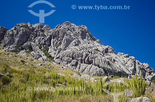  Assunto: Trilha do Pico das Agulhas Negras / Local: Itatiaia - Rio de Janeiro (RJ) - Brasil / Data: 08/2012 