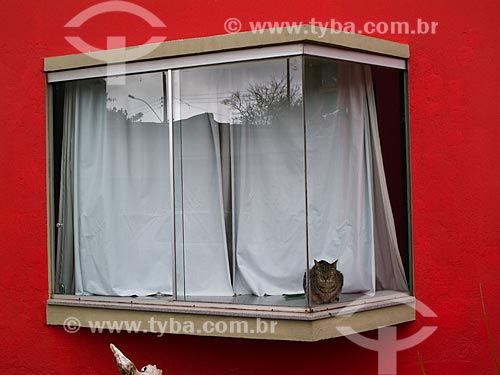  Assunto: Gato em uma janela / Local: Ouro Preto - Minas Gerais (MG) - Brasil / Data: 07/2010 