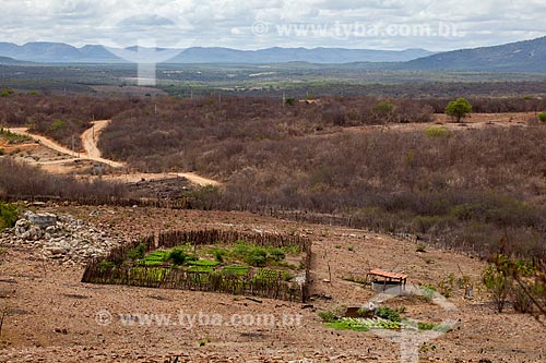  Assunto: Horta de subsistência em Pequena propriedade rural / Local: Canaã - Pernambuco (PE) - Brasil / Data: 01/2013 