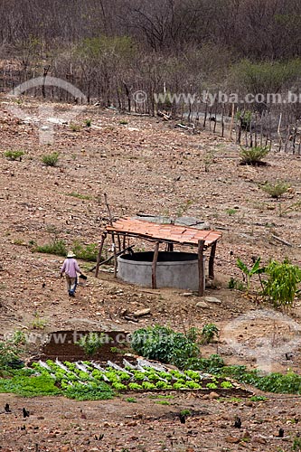  Assunto: Horta de subsistência em Pequena propriedade rural com um reservatório de água no fundo / Local: Canaã - Pernambuco (PE) - Brasil / Data: 01/2013 