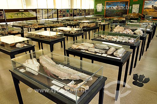  Assunto: Fósseis originais no Museu de Paleontologia de Monte Alto / Local: Monte Alto - São Paulo (SP) - Brasil / Data: 01/2013 
