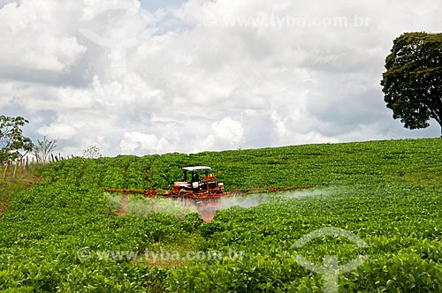  Assunto: Trator aplicando defensivos em uma plantação de soja / Local: Próximo à Cruzilia - Minas Gerais (MG) - Brasil / Data: 01/2013 