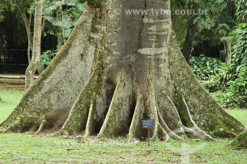 PE Jardim Botânico