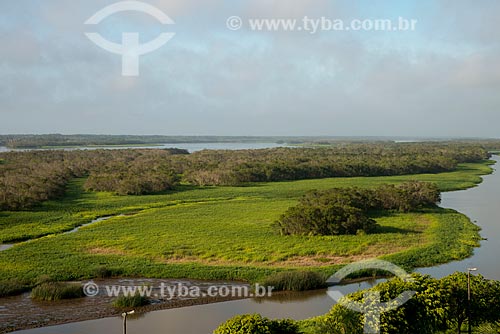  Assunto: Região de mangue formada pelo encontro do canal do Valo Grande com o Mar Pequeno / Local: Iguape - São Paulo (SP) - Brasil / Data: 11/2012 