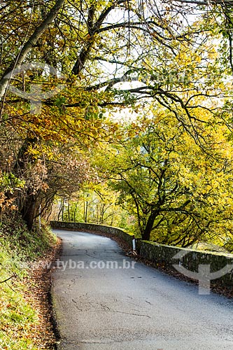  Assunto: Estrada com paisagem típica da região da Toscana / Local: Impruneta - Florença - Itália - Europa / Data: 12/2012 