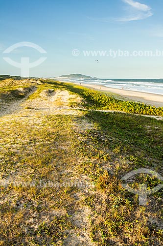  Assunto: Praia do Campeche / Local: Florianópolis - Santa Catarina (SC) - Brasil / Data: 02/2013 