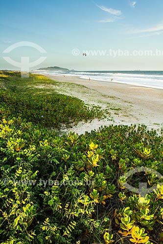  Assunto: Praia do Campeche / Local: Florianópolis - Santa Catarina (SC) - Brasil / Data: 02/2013 