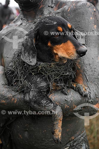  Assunto: Cachorro coberto de lama durante o desfile do Bloco da Lama / Local: Paraty - Rio de Janeiro (RJ) - Brasil / Data: 02/2013 