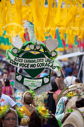  Assunto: Desfile do Bloco Carnavalesco Lírico Com Você no Coração na Rua Mariz e Barros durante o carnaval / Local: Recife - Pernambuco (PE) - Brasil / Data: 02/2013 