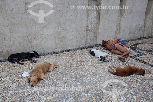  Assunto: Moradora de rua vivendo com cachorros na Avenida Marquês de Olinda / Local: Recife - Pernambuco (PE) - Brasil / Data: 02/2013 
