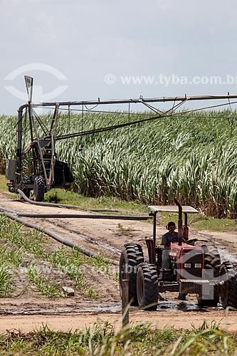  Assunto: Plantação de Cana de Açúcar as margens da Rodovia BR-101 no KM 14 / Local: Pernambuco (PE) - Brasil / Data: 02/2013 