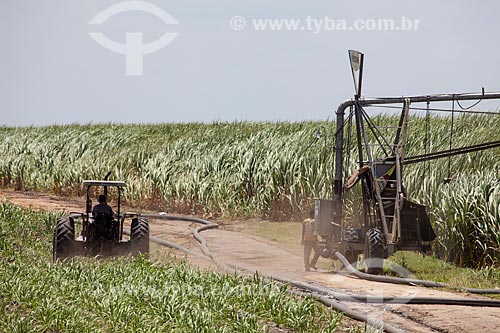  Assunto: Plantação de Cana de Açúcar as margens da Rodovia BR-101 no KM 14 / Local: Pernambuco (PE) - Brasil / Data: 02/2013 