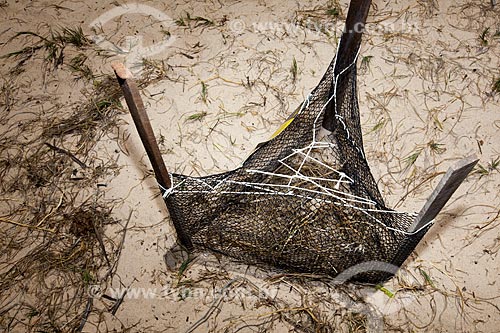  Assunto: Ninho de Tartaruga-de-Pente (Eretmochelys imbricata) na Praia de Intermares - Projeto Tartarugas Urbanas (ONG Guajiru) / Local: Cabedelo - Paraíba (PB) - Brasil / Data: 02/2013 