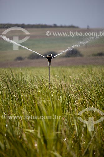  Assunto: Irrigação em plantação de cana-de-açúcar as margens da Rodovia PE-075 / Local: Goiana - Pernambuco (PE) - Brasil / Data: 02/2013 