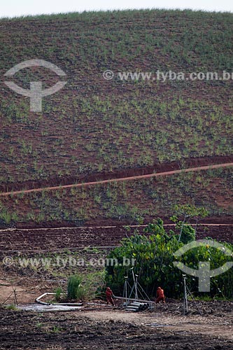  Assunto: Operários instalando equipamento de irrigação em plantação de cana-de-açúcar às margens da Rodovia PE-075 / Local: Goiana - Pernambuco (PE) - Brasil / Data: 02/2013 