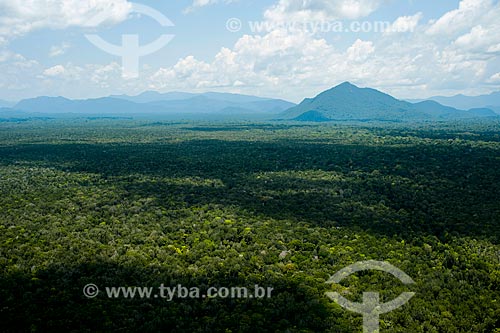  Assunto: Vista do Parque Nacional do Pico da Neblina / Local: Amazonas (AM) - Brasil / Data: 10/2012 