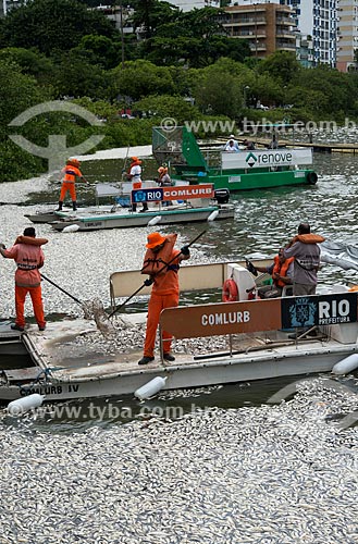  Assunto: Funcionários da Comlurb retirando peixes mortos da Lagoa Rodrigo de Freitas / Local: Rio de Janeiro (RJ) - Brasil / Data: 03/2013 