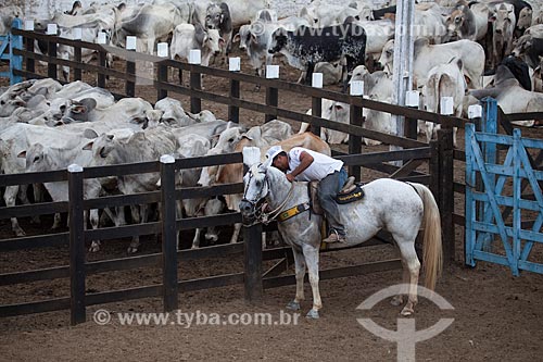  Assunto: Curral de gado no Parque Santa Terezinha / Local: Alagoa Grande - Paraíba (PB) - Brasil / Data: 02/2013 
