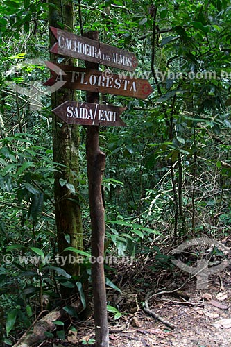  Assunto: Trilha para a Cachoeira das Almas na Floresta da Tijuca / Local: Alto da Boa Vista - Rio de Janeiro (RJ) - Brasil / Data: 04/2013 
