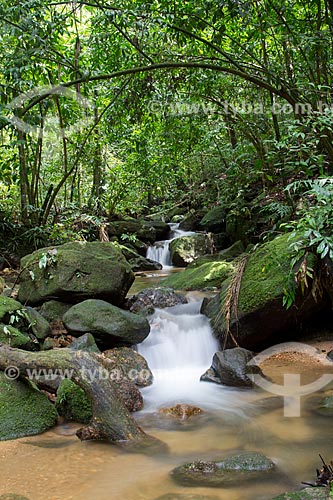  Assunto: Riacho na Floresta da Tijuca / Local: Alto da Boa Vista - Rio de Janeiro (RJ) - Brasil / Data: 04/2013 