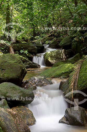  Assunto: Riacho na Floresta da Tijuca / Local: Alto da Boa Vista - Rio de Janeiro (RJ) - Brasil / Data: 04/2013 