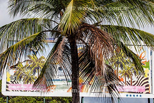  Assunto: Palmeira e cobrindo a vista de Outdoor / Local: Distrito de Pipa - Tibau do Sul - Rio Grande do Norte (RN) - Brasil / Data: 03/2013 