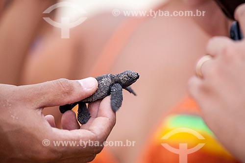  Turistas segurando filhote de Tartaruga-de-Pente (Eretmochelys imbricata) - desova controlada pelo Projeto Tamar  - Tibau do Sul - Rio Grande do Norte - Brasil
