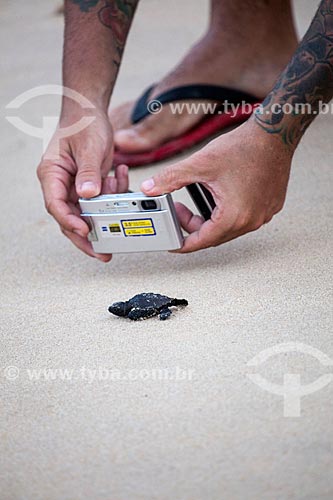  Turistas fotografando filhote de Tartaruga-de-Pente (Eretmochelys imbricata) - desova controlada pelo Projeto Tamar  - Tibau do Sul - Rio Grande do Norte - Brasil