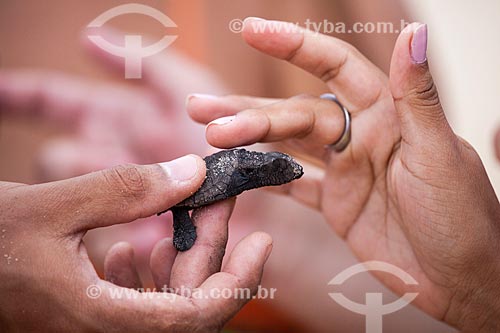  Turistas segurando filhote de Tartaruga-de-Pente (Eretmochelys imbricata) -desova controlada pelo Projeto Tamar  - Tibau do Sul - Rio Grande do Norte - Brasil