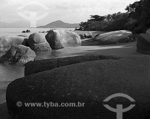  Assunto: Praia do Cacupé / Local: Florianópolis - Santa Catarina (SC) - Brasil / Data: 1986 