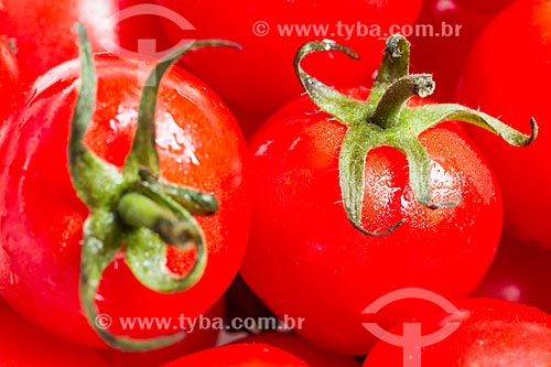  Assunto: Tomate-cereja (Solanum lycopersicum var. cerasiforme) / Local: Florianópolis - Santa Catarina (SC) - Brasil / Data: 05/2013 