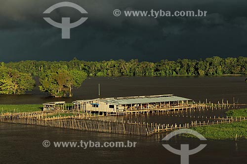  Assunto: Armazém para beneficiamento da Juta às margens do Rio Amazonas próximo à Itacoatiara com nuvens de chuva no céu / Local: Itacoatiara - Amazonas (AM) - Brasil / Data: 07/2013 