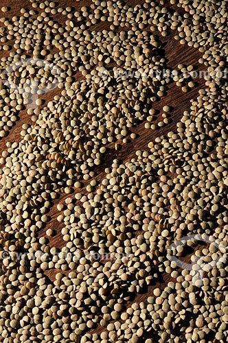  Assunto: Grãos de lentilha cru / Local: São José do Rio Preto - São Paulo (SP) - Brasil / Data: 07/2013 