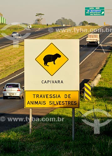  Assunto: Placa indicando travessia da Capivara (Hydrochoerus hydrochaeris) na Rodovia Euclides da Cunha (SP-320) / Local: Urânia - São Paulo (SP) - Brasil / Data: 07/2013 
