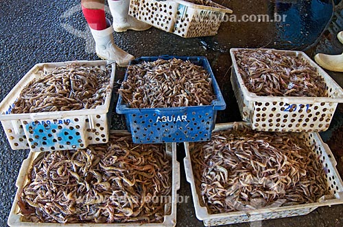  Assunto: Comercialização de camarões / Local: Farol de São Thomé -  Campos dos Goytacazes - Rio de Janeiro (RJ) - Brasil / Data: 06/2013 