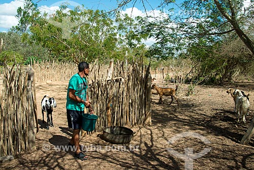  Índio da Aldeia ou comunidade Malhador cuidando da criação de cabras - Terra Indígena Kapinawá no Parque Nacional do Catimbau -  Imagem licenciada -  ACRÉSCIMO DE 100% SOBRE O VALOR DE TABELA  - Buíque - Pernambuco - Brasil