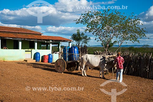  Casa do sertanejo José Francisco de Lima e carro de boi com tonéis de água em vilarejo na zona rural  - Custódia - Pernambuco - Brasil