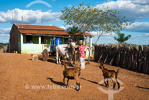  Casa do sertanejo José Francisco de Lima e carro de boi com tonéis de água em vilarejo na zona rural  - Custódia - Pernambuco - Brasil