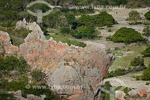  Assunto: Cabra com filhote no topo de formação  rochosa / Local: Custódia - Pernambuco (PE) - Brasil / Data: 06/2013 