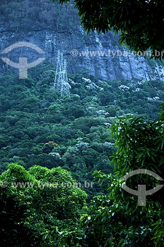  Assunto: Torre de transmissão de energia na Floresta da Tijuca / Local: Tijuca - Rio de Janeiro (RJ) - Brasil / Data: 03/2013 