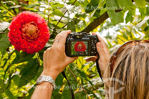  Assunto: Mulher fotografando flor de Sol-da-Bolívia - também conhecido como Chapéu-de-Sol ou Sol-da-Mata - no Jardim Botânico do Rio de Janeiro / Local: Jardim Botânico - Rio de Janeiro (RJ) - Brasil / Data: 08/2011 