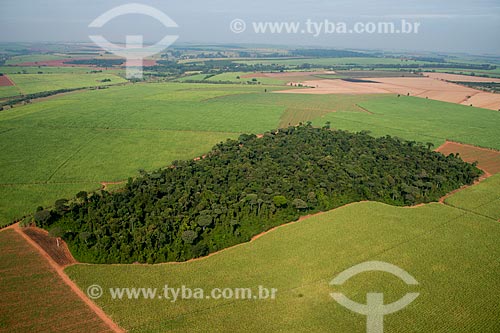  Assunto: Vista aérea de plantação de cana-de-açúcar próxima à reserva florestal / Local: Pitangueiras - São Paulo (SP) - Brasil / Data: 05/2013 