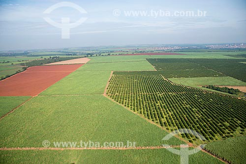  Assunto: Vista aérea de plantação de cana-de-açúcar e laranja / Local: Morro Agudo - São Paulo (SP) - Brasil / Data: 05/2013 