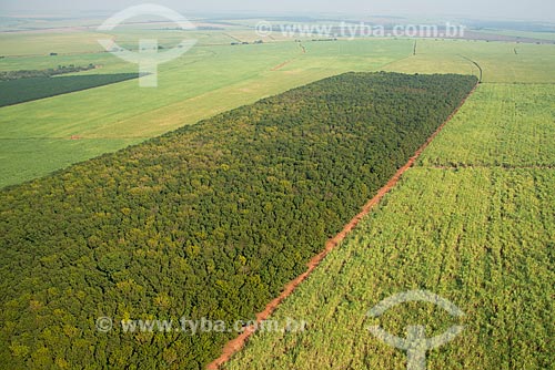  Assunto: Vista aérea de plantação de cana-de-açúcar e seringueiras (Hevea brasiliensis) / Local: Colina - São Paulo (SP) - Brasil / Data: 05/2013 