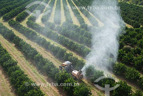  Assunto: Pulverização de pesticida em plantação de laranja / Local: Bebedouro - São Paulo (SP) - Brasil / Data: 05/2013 