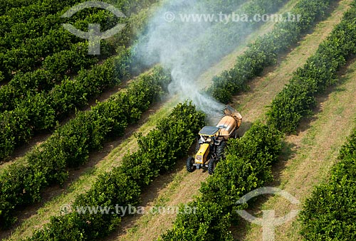  Assunto: Pulverização de pesticida em plantação de laranja / Local: Bebedouro - São Paulo (SP) - Brasil / Data: 05/2013 