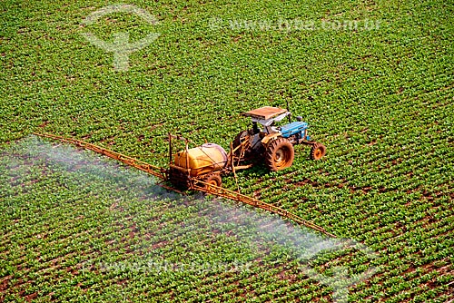  Assunto: Pulverização de pesticida em plantação de feijão / Local: Guaíra - São Paulo (SP) - Brasil / Data: 05/2013 