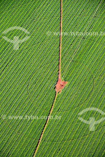  Assunto: Vista aérea de irrigação com pivô central  em plantação de milho / Local: Guaíra - São Paulo (SP) - Brasil / Data: 05/2013 