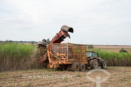 Assunto: Colheita mecanizada de cana-de-açúcar / Local: Piracicaba - São Paulo (SP) - Brasil / Data: 05/2013 